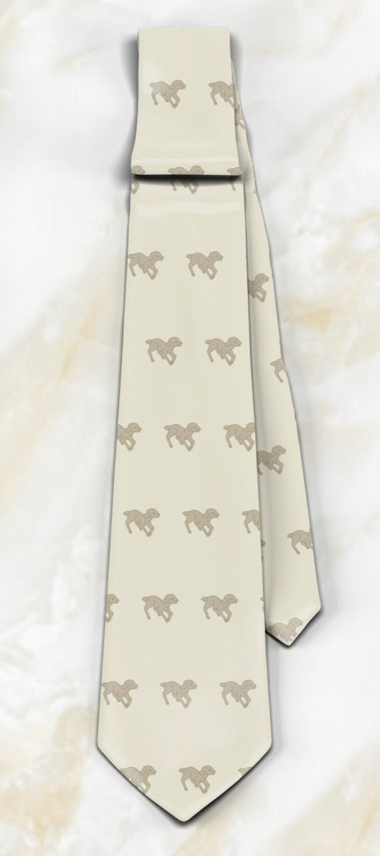 JW.org Necktie “Shepherd my little sheep.” John 21:16 size 58" JW.Org, pioneer gift, . JW Brothers